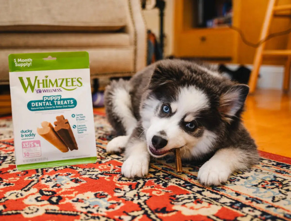 Wellness Whimzees